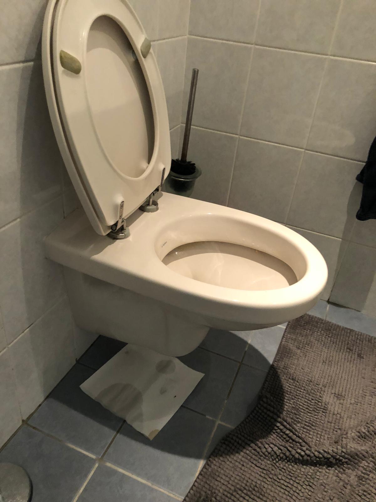hangtoilet Rijnsburg